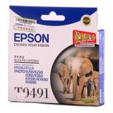 爱普生T0491黑色打印机墨盒(1个）