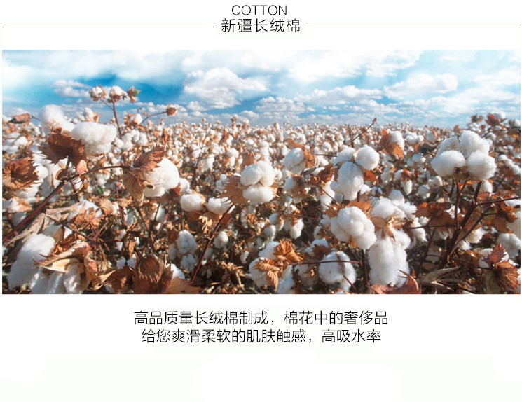 洁丽雅6498纯棉条纹吸水毛巾(1条)